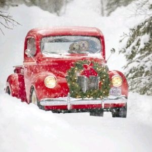 Meet your Posher, Cristy